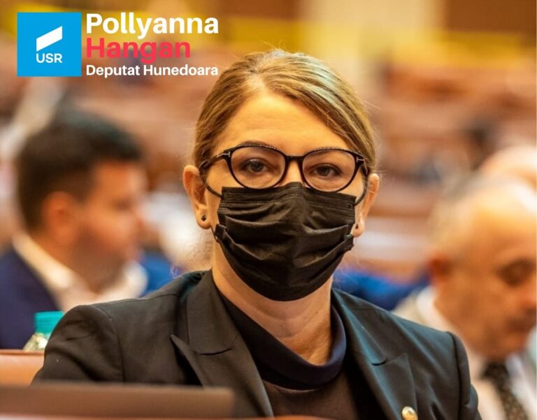 Pollyanna Hangan (USR) despre președintele ANRE: ”Are pregătire în tractoare agricole”