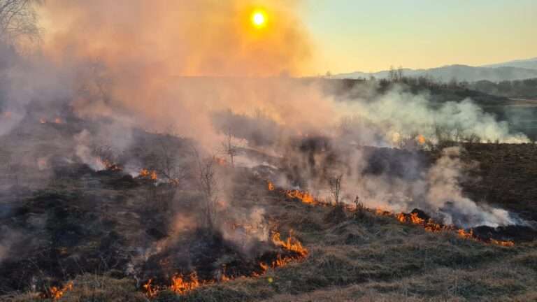 Peste 25 de incendii în fiecare zi, în judeţul Hunedoara