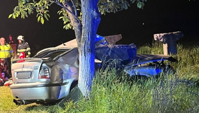 Accident rutier mortal la Şoimuş