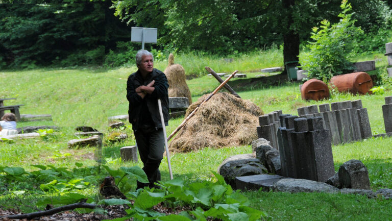 ”Atingere vaginală cu specii de foioase”: RITUALURI ale căutătorilor de ENERGII la Sarmizegetusa Regia