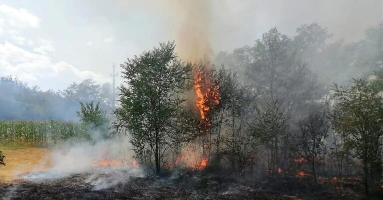 WEEKEND DE FOC: 214 misiuni ale pompierilor hunedoreni, sute de hectare de teren incendiate