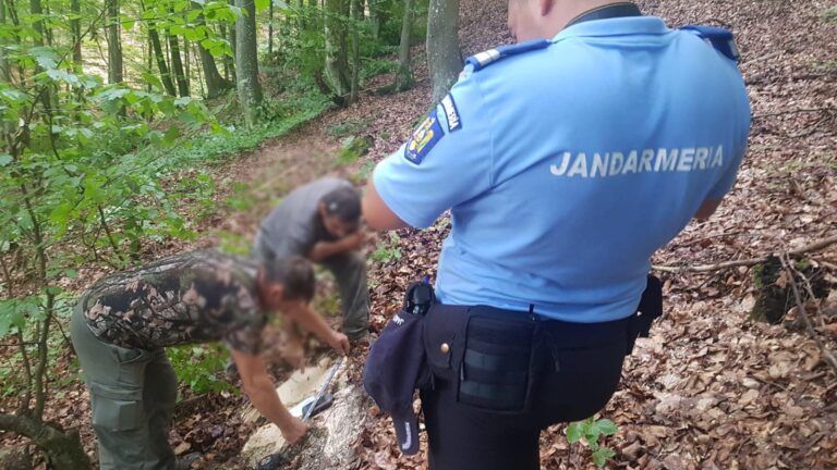 Jandarmii Bogdan şi Darius au prins doi hoți de lemne la Vața de Jos