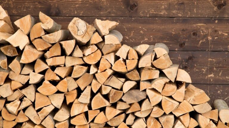Guvern: Preţul la lemnul de foc, plafonat la 400 de lei pe metru cub