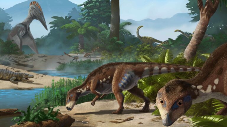 DINOZAURI NECUNOSCUȚI au ieșit din pământ la lumină, în Geoparcul din Țara Hațegului