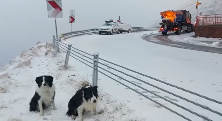 VIDEO: A nins pe Tranfăgărășan. Zăpada are deja câțiva centimetri