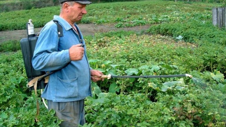 ÎNCHISOARE de la 1 la 5 ani pentru micii fermierii care își fac singuri tratamente fitosanitare în fermă