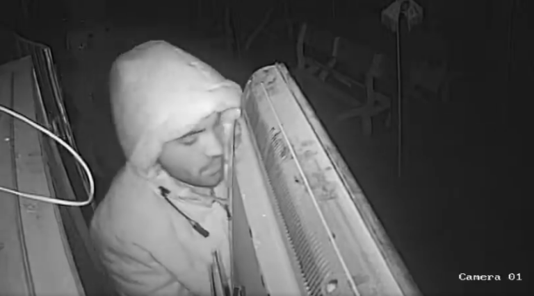 Ajutaţi la PRINDEREA HOŢULUI care a acţionat pe terasa unei pizzerii din Hunedoara! VIDEO cu momentul furtului