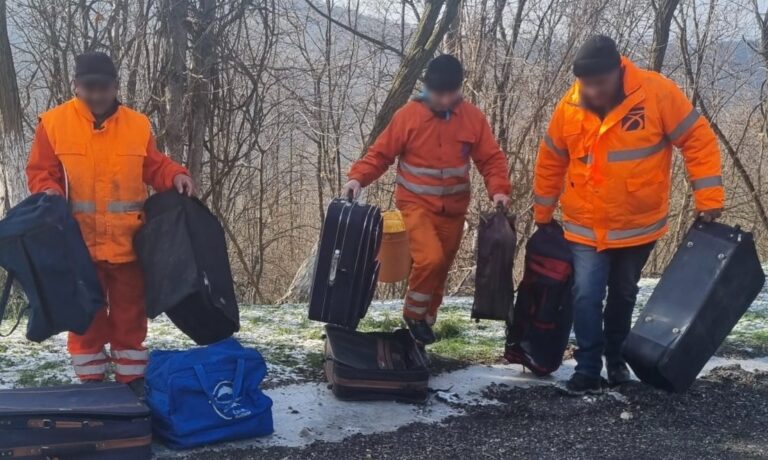 Descoperire CIUDATĂ într-o pădure de lângă granița cu Serbia. Ce au găsit drumarii acolo