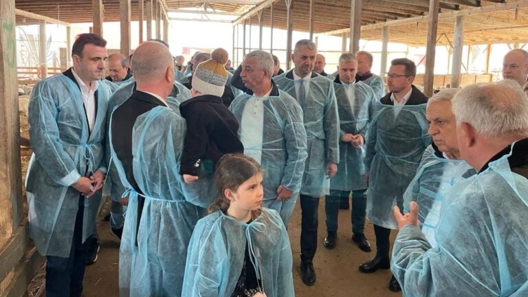 Iordanienii au venit să târguiască berbecuți de la Romos. Daea le-a prezentat și oaia