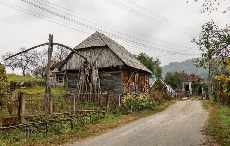 URMĂRIRE ca în filmele polițiste pe ULIȚA SATULUI. S-a lăsat cu CĂTUȘE