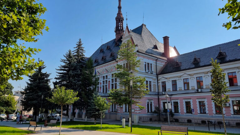 Guvernul, NEPUTINCIOS în Teritoriul Hunedoara. AZILELE ILEGALE continuă să existe iar bătrânii își așteaptă moartea ACOLO