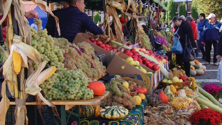DEVA: ZIUA RECOLTEI 2023 – muzică, bucate tradiționale și multă voie bună! Vezi CINE CÂNTĂ la spectacole