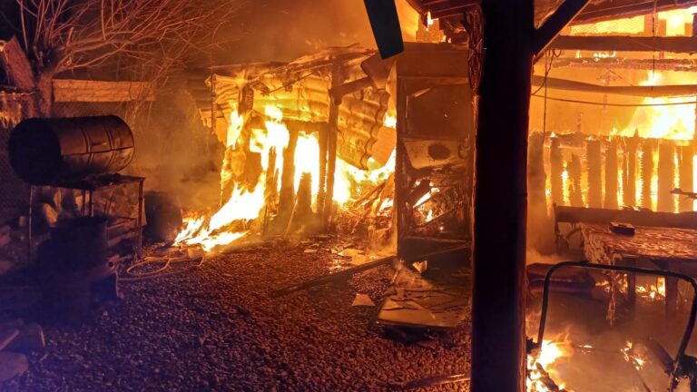40 de pui fripți în incendiul izbucnit pe strada Cucului