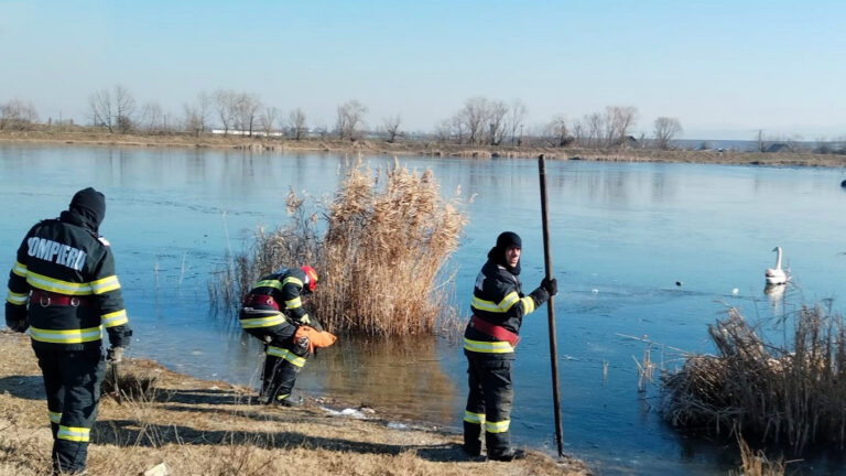 APLAUZE pentru pompierii care au jucat în LACUL LEBEDELOR la Orăștie!