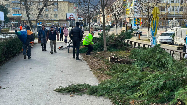 ACT DE VANDALISM în centrul Devei: Persoane necunoscute AU TĂIAT COPACII din zona Poșta Veche