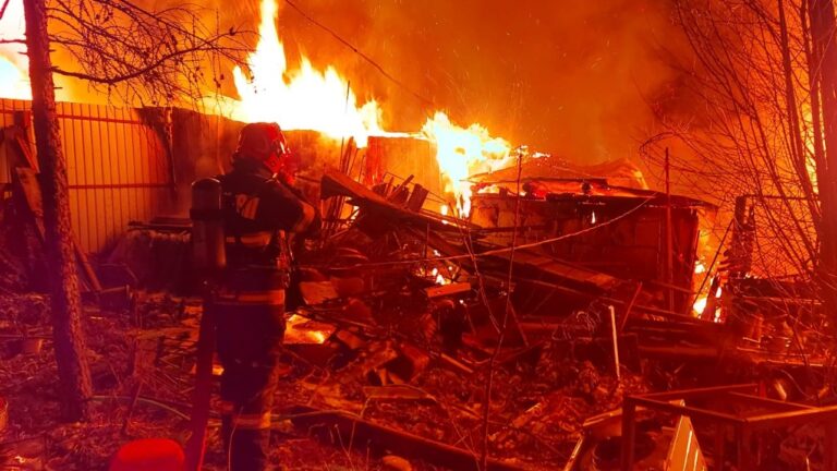 INCENDIU MARE LA COTEȚE: Au fost salvați doi câini și un porc dar nu și găinile, care au pierit în flăcări