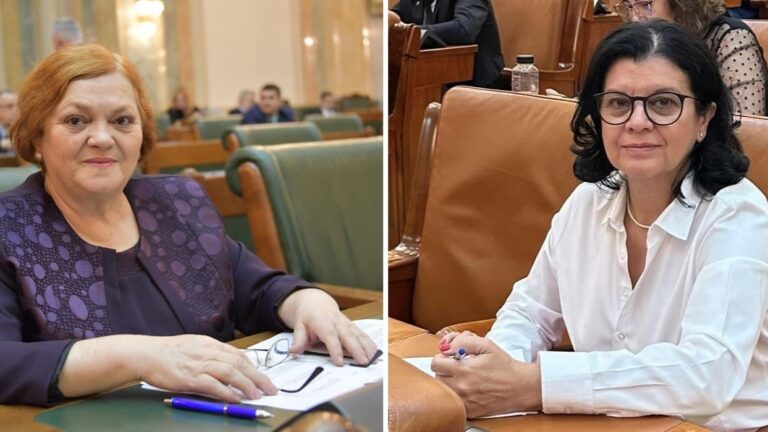 Senatoarea Lucica Muntean dă de pereți cu șefa liberalilor hunedoreni: ”Minciună, demagogie, dezinformare”