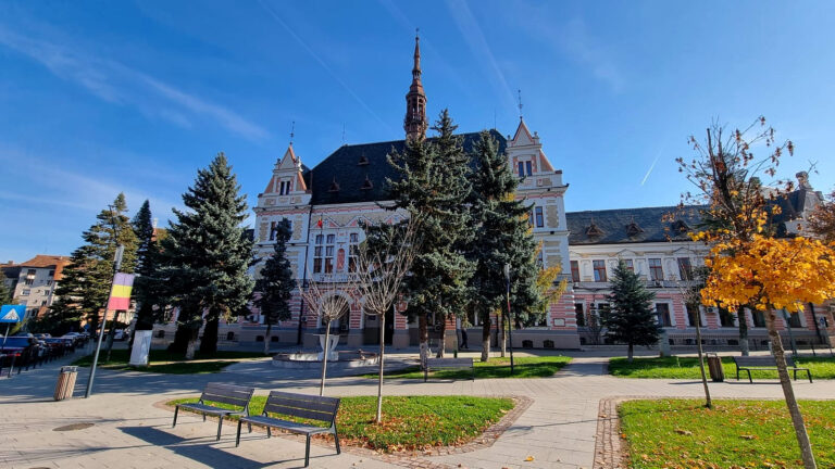 ȘEDINȚĂ EXTRAORDINARĂ la Consiliul Județean Hunedoara. Vor fi aleși cei doi vicepreședinți ai instituției