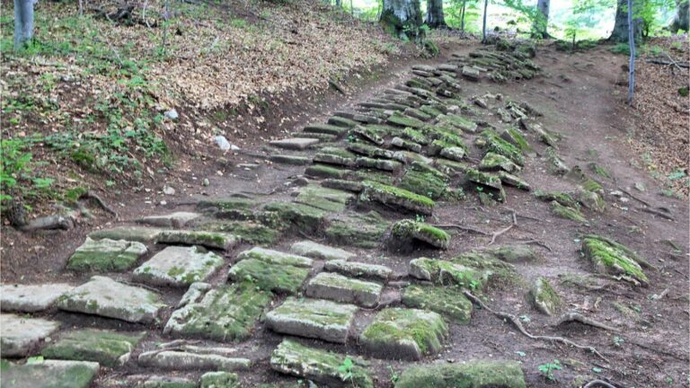 Poliția în alertă: persoane necunoscute au VANDALIZAT cetatea dacică Piatra Roșie, monument UNESCO