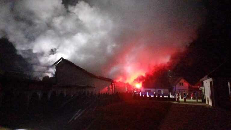 Zona Orăștie: Pompierii au luptat PATRU ORE cu flăcările la un incendiu care amenința să se extindă
