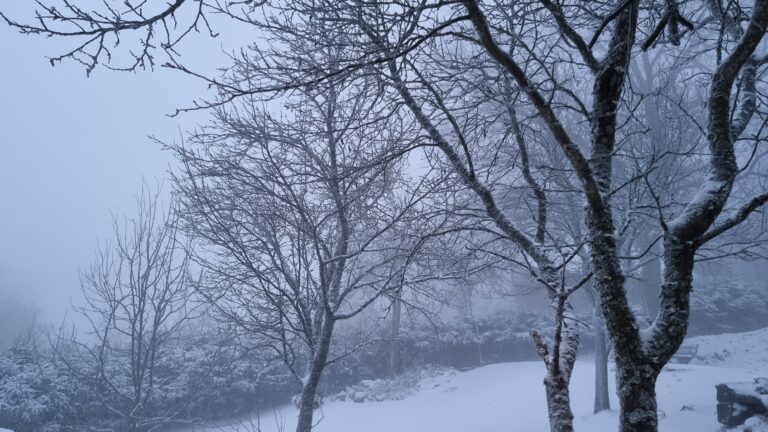 Viscol în zonele montane ale județului Hunedoara