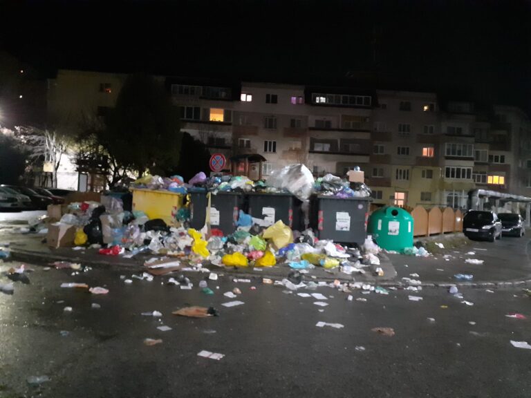 Primăria Deva vrea să REZILIEZE contractul de salubrizare cu Brai-Cata