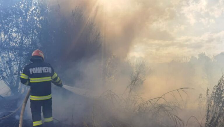 PERICOL: 5 incendii de vegetație în ultimele 24 de ore, în zonele Ilia și Brad
