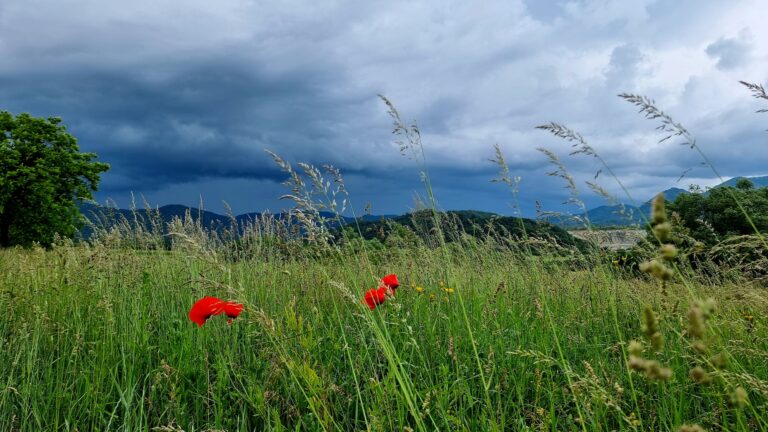 ALERTĂ METEO: COD ROȘU ÎN JUDEȚUL HUNEDOARA, averse torențiale de până la 80 l/mp
