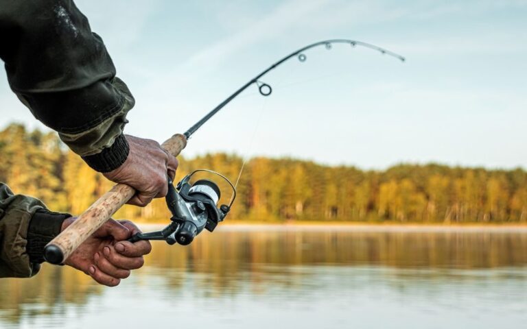 ATENŢIE, PESCARI: De astăzi, Mureşul, Streiul şi Crişul au fost CONTRACTATE în judeţul Hunedoara, deci trebuie permis de pescuit PLĂTIT